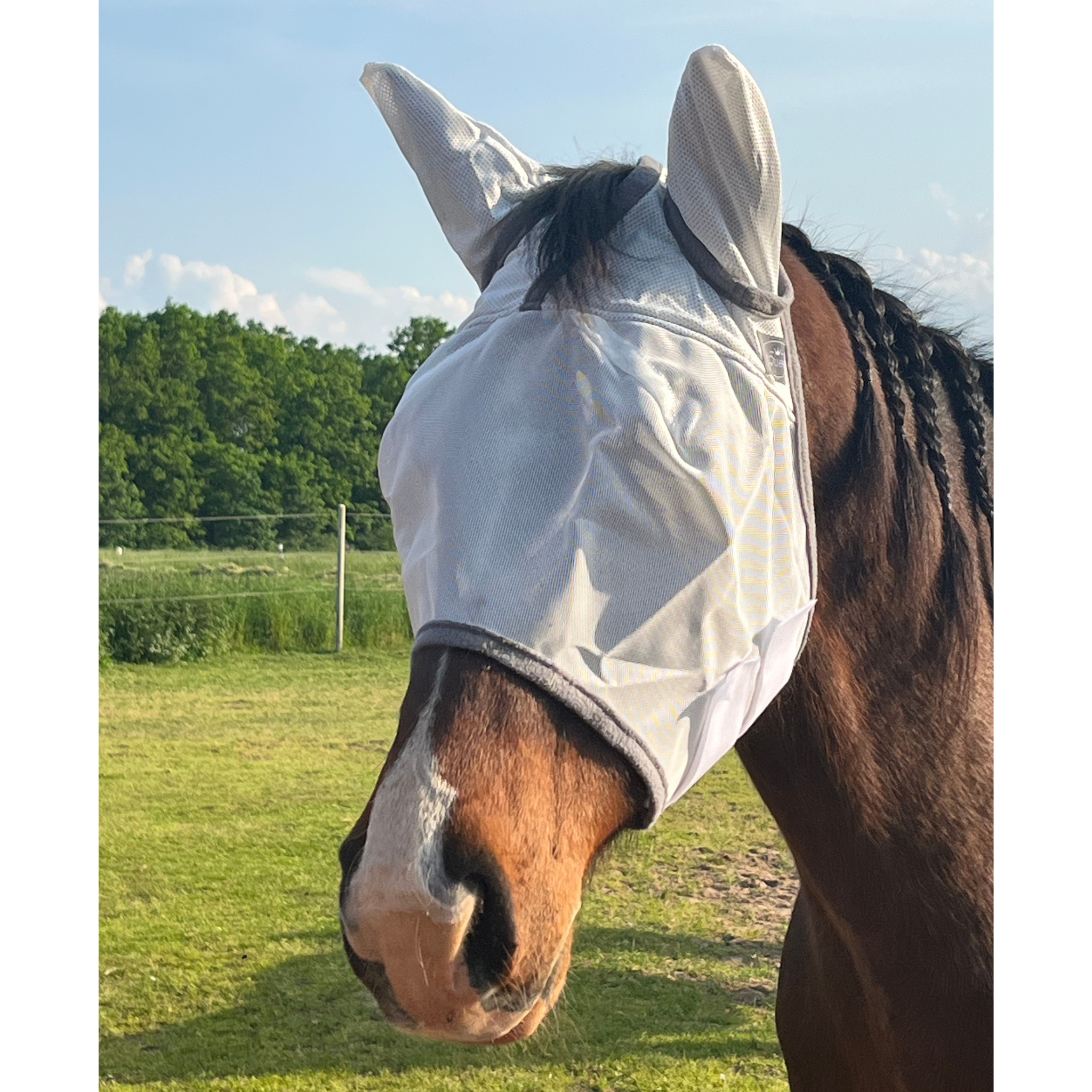 Fliegenmaske Fliegenohren Fliegenschutz für Pferde