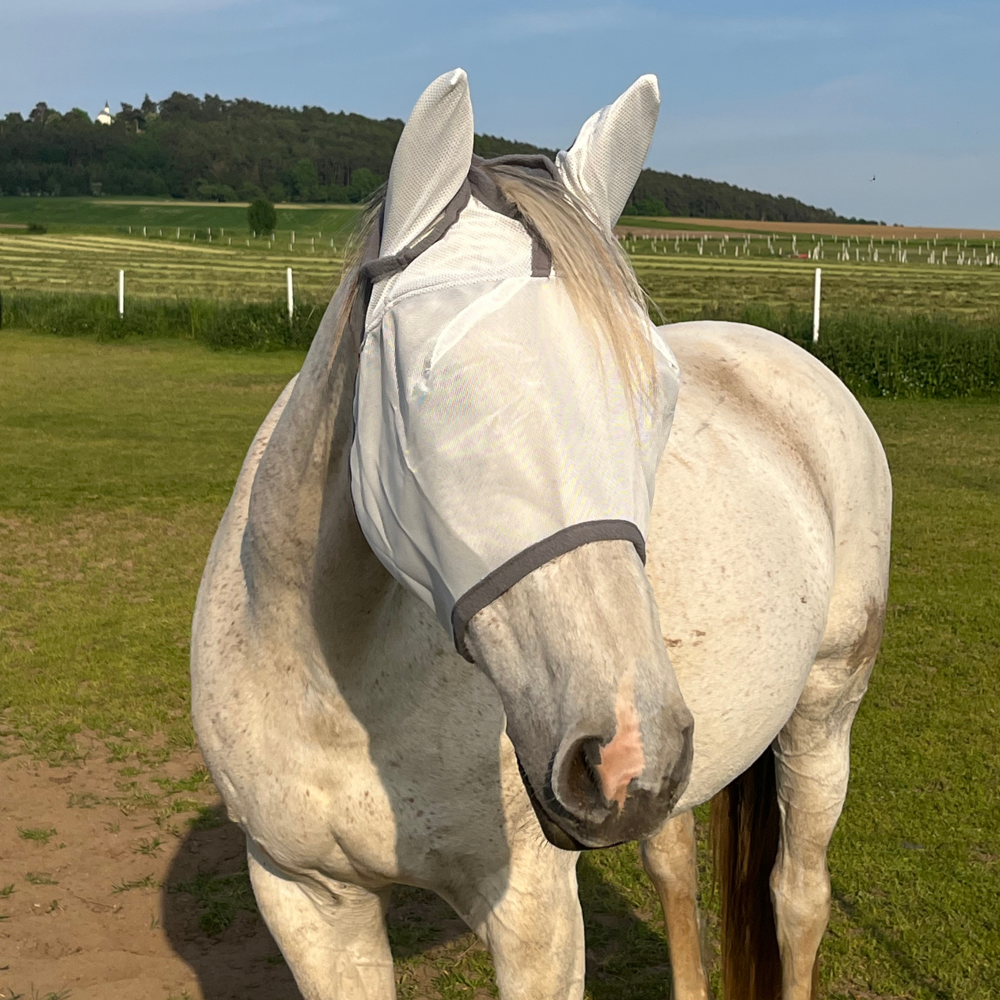 Fliegenmaske Fliegenohren Fliegenschutz für Pferde