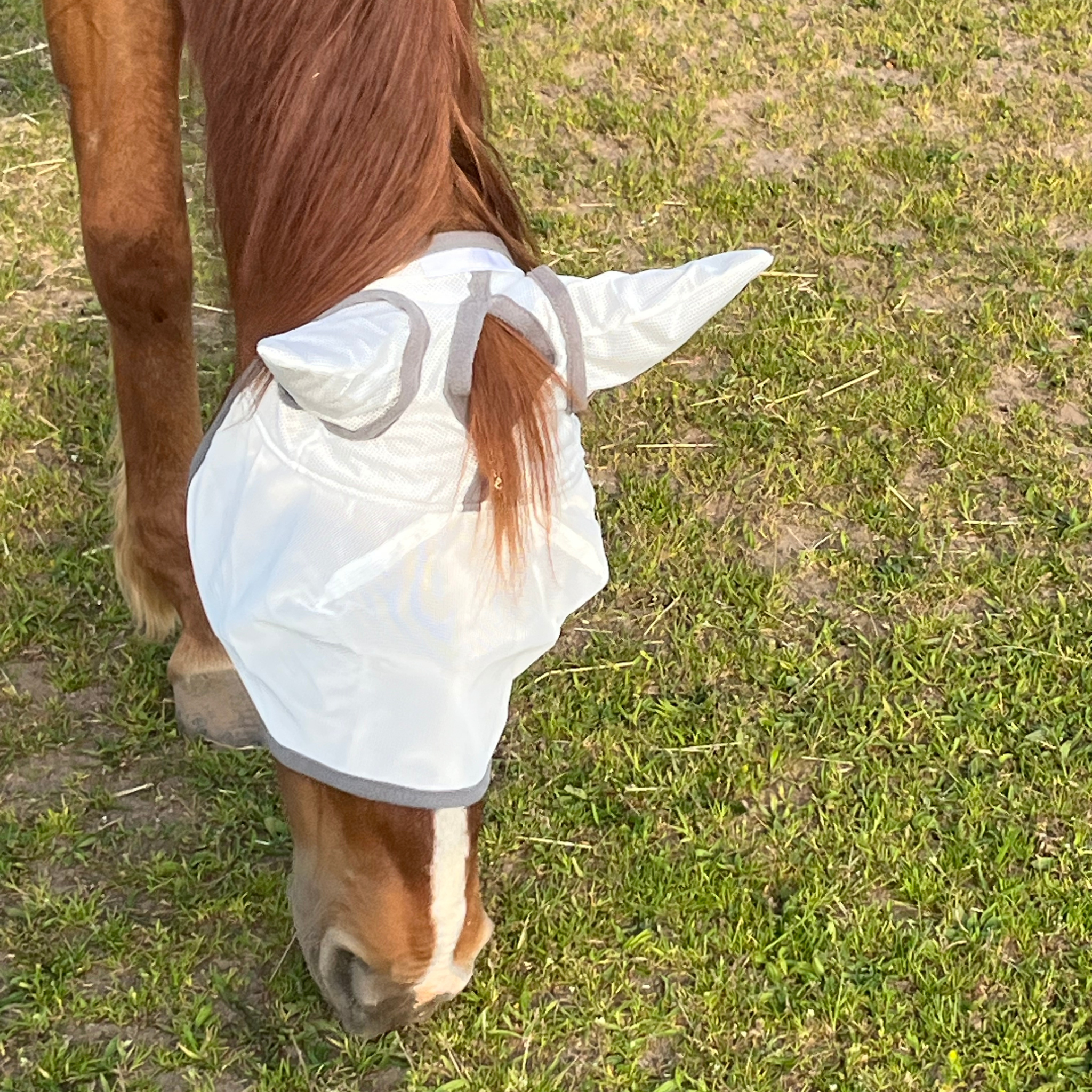 Fliegenmaske Fliegenohren Fliegenschutz für Pferde