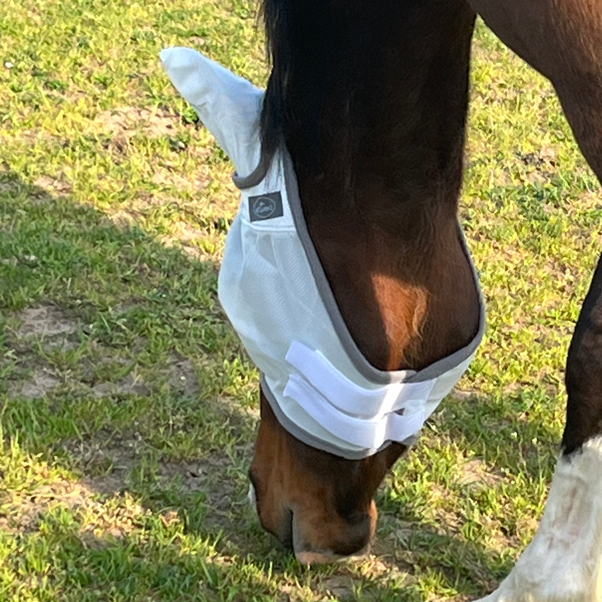 Fliegenmaske Fliegenohren Fliegenschutz für Pferde