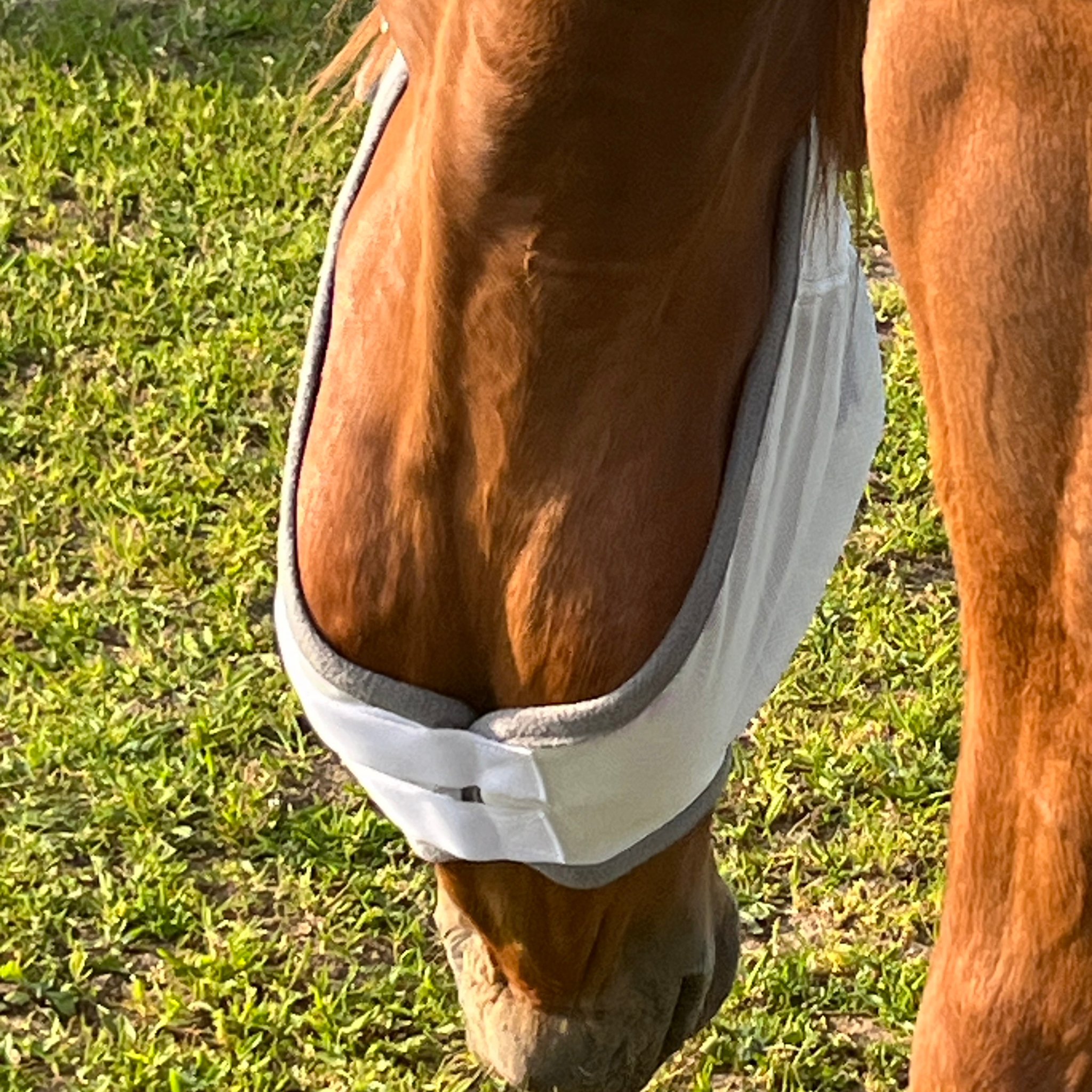 Fliegenmaske Fliegenohren Fliegenschutz für Pferde