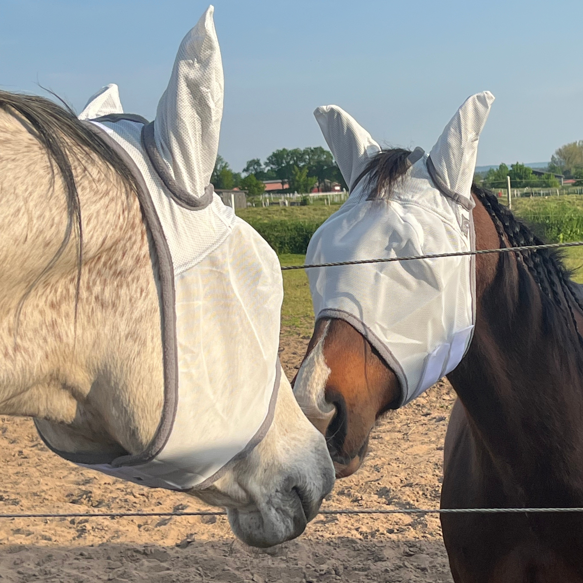 Fliegenmaske Fliegenohren Fliegenschutz für Pferde