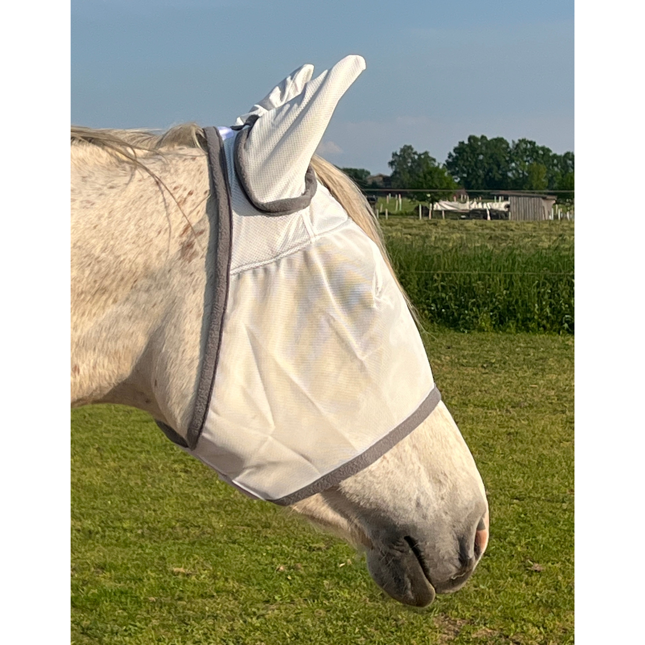 Fliegenmaske Fliegenohren Fliegenschutz für Pferde