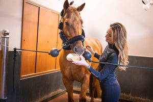 Fritz&Frodewin Wurzelbürste 