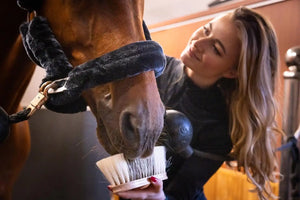 Fritz&Frodewin Wurzelbürste 