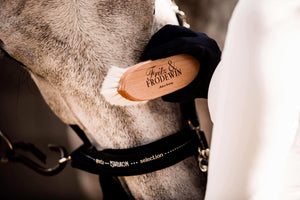 Fritz&Frodewin Turnier-Set Pferdebürsten Ludwig, Mathilda, Amalia & Gustav