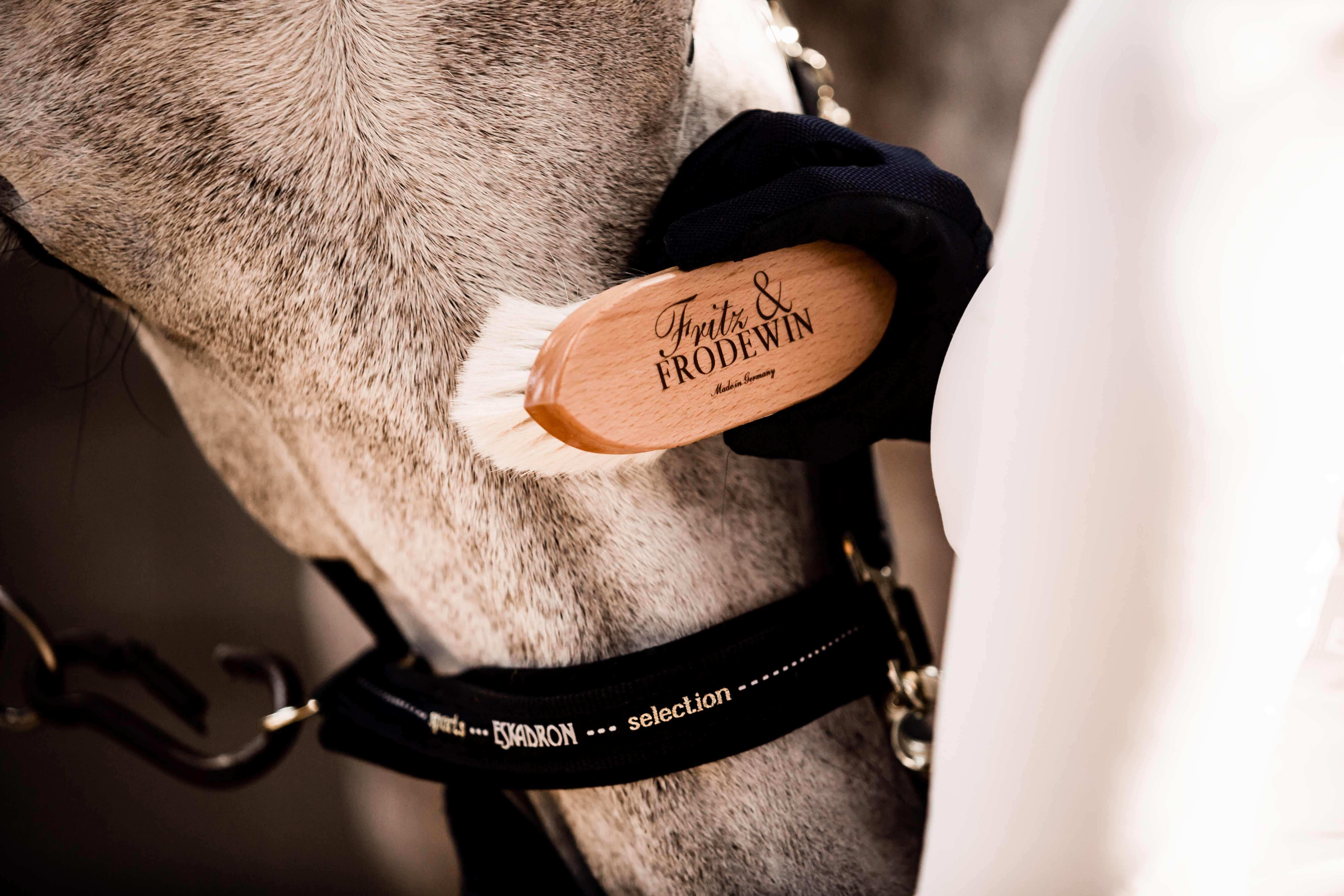 Fritz&Frodewin Turnier-Set Pferdebürsten Ludwig, Mathilda, Amalia & Gustav