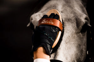 Fritz&Frodewin Groom-Set II. Pferdebürsten York, Harriet, Ludwig & Frieda