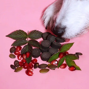 Tierliebhaber G-Snack