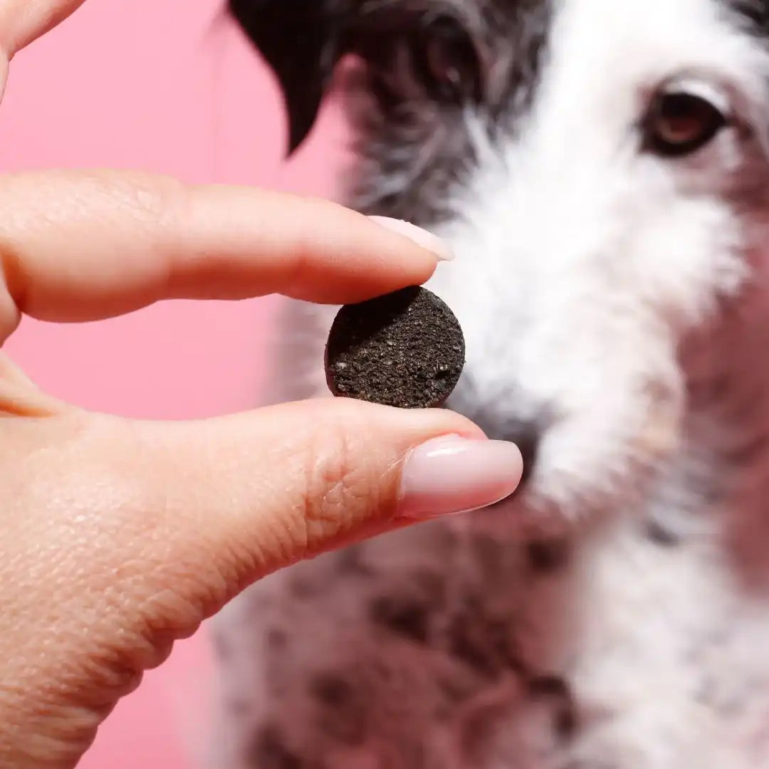 Tierliebhaber G-Snack