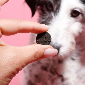 Tierliebhaber G-Snack