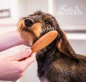 Fritz&Frodewin Friedrich - Hunde-Handbürste klein