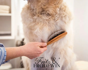 Fritz&Frodewin Hundebürsten-Set 