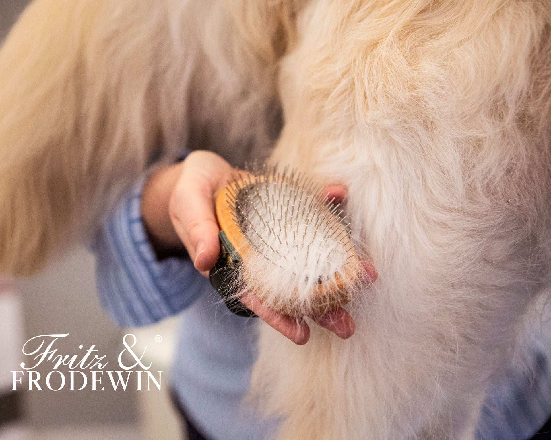 Fritz&Frodewin Hundebürsten-Set 