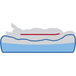 Vital Bett Lino