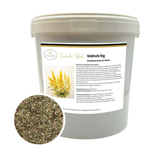 Goldrute Pferd bei Stoffwechselproblemen und für gesunde Nieren und Blase