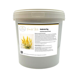 Goldrute Pferd bei Stoffwechselproblemen und für gesunde Nieren und Blase