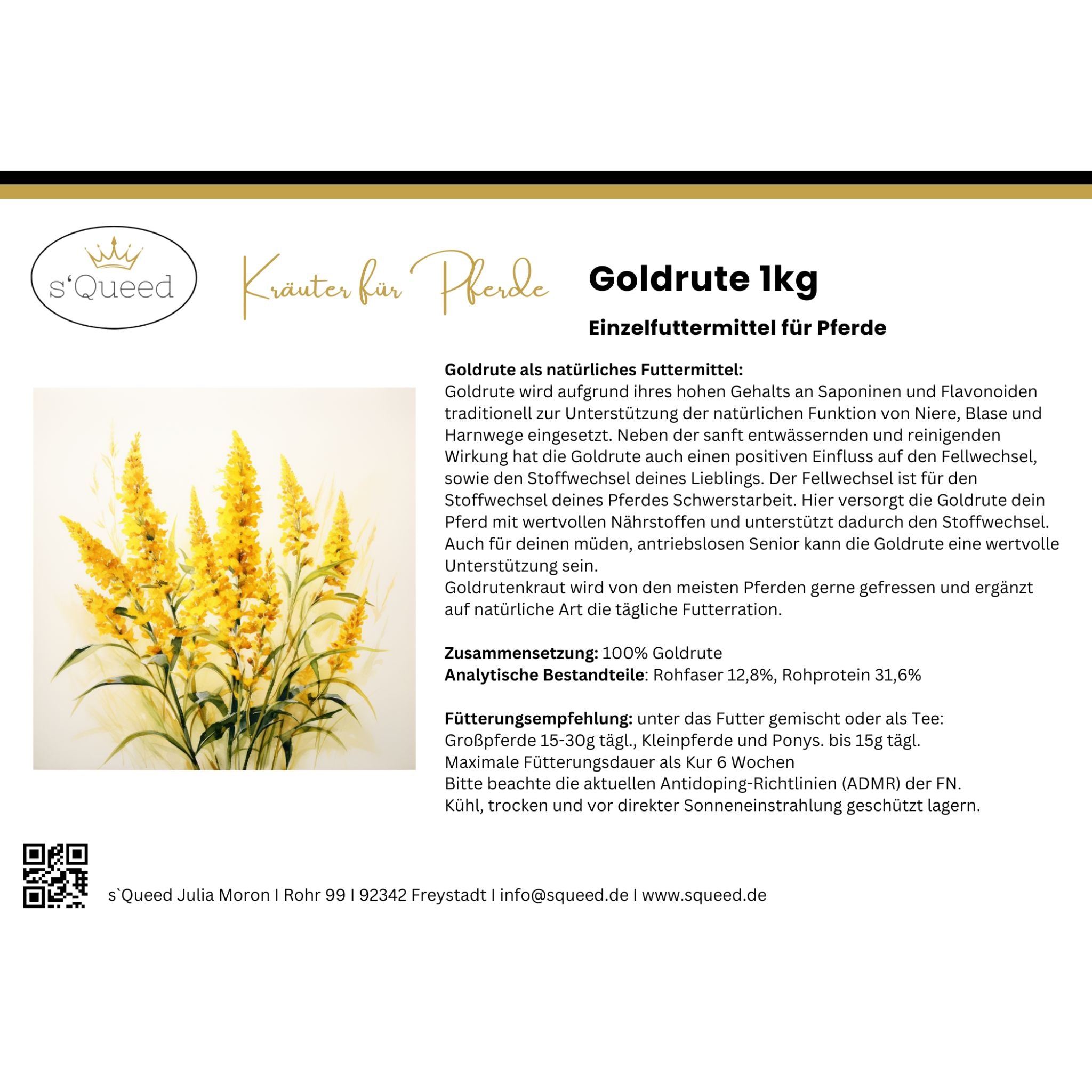 Goldrute Pferd bei Stoffwechselproblemen und für gesunde Nieren und Blase