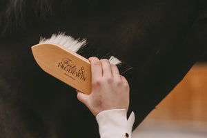 Fritz&Frodewin Fellglanzbürste 