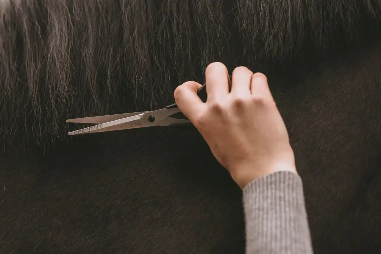 Fritz&Frodewin Mähnenschere 