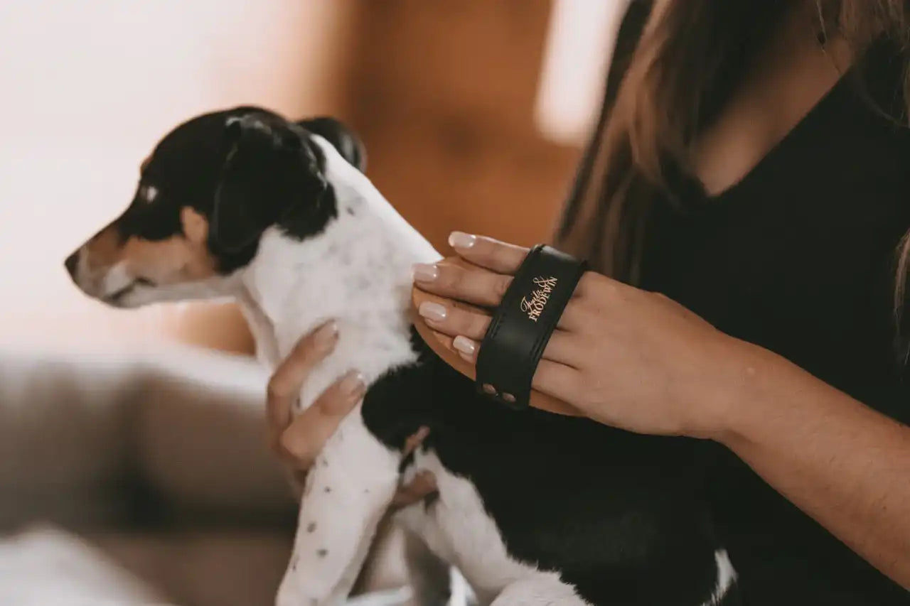 Fritz&Frodewin Bobbsen - Hundebürste Kurzhaar