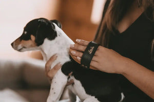 Fritz&Frodewin Bobbsen - Hundebürste Kurzhaar