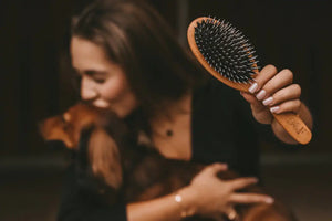 Fritz&Frodewin Lillibet - Hunde-Handbürste groß