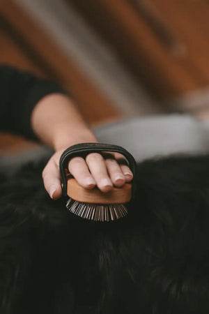 Fritz&Frodewin Pertunia - Hundebürste Langhaar