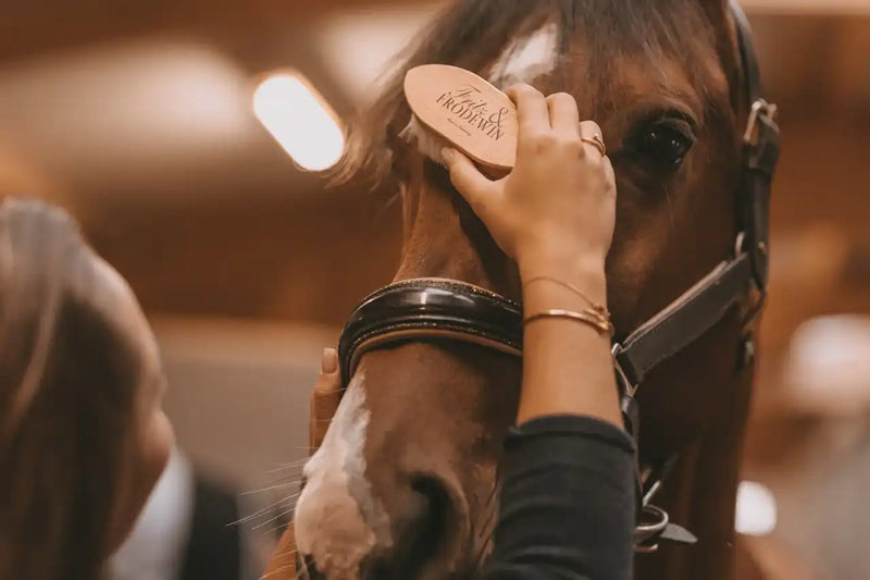 Fritz&Frodewin Ziegenhaar Kopfbürste „Amalia“