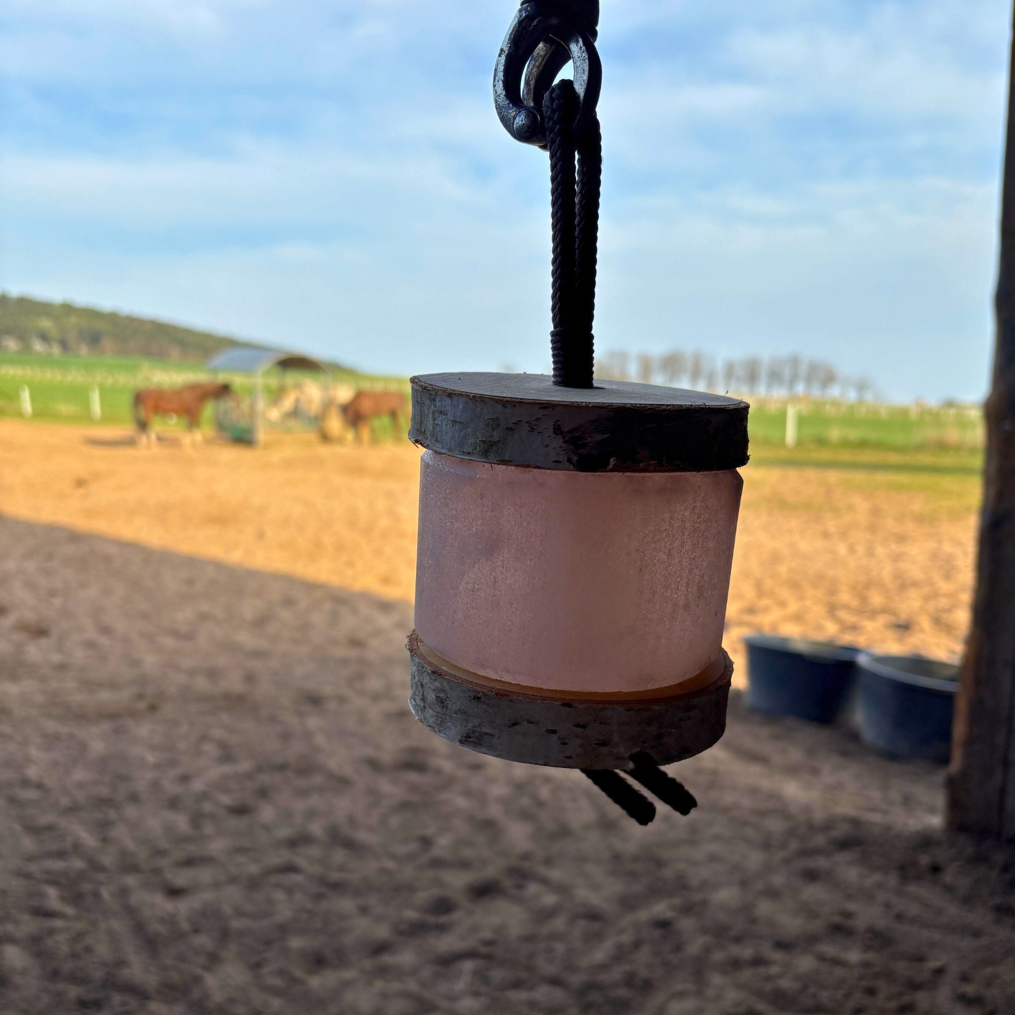 Himalaya-Leckstein Set: Halterung aus Birkenholz und 2 Himalaya Salzlecksteinen