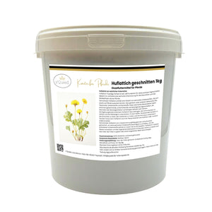 Huflattich Pferd - Hustenkräuter für Pferde - Schleimlöser Pferd