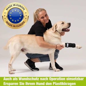 Sportbandage für Hunde