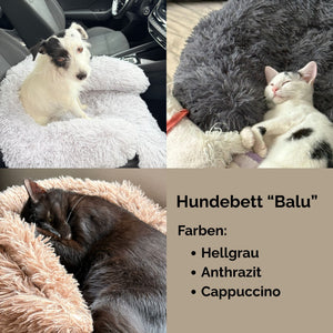 Hundebett 