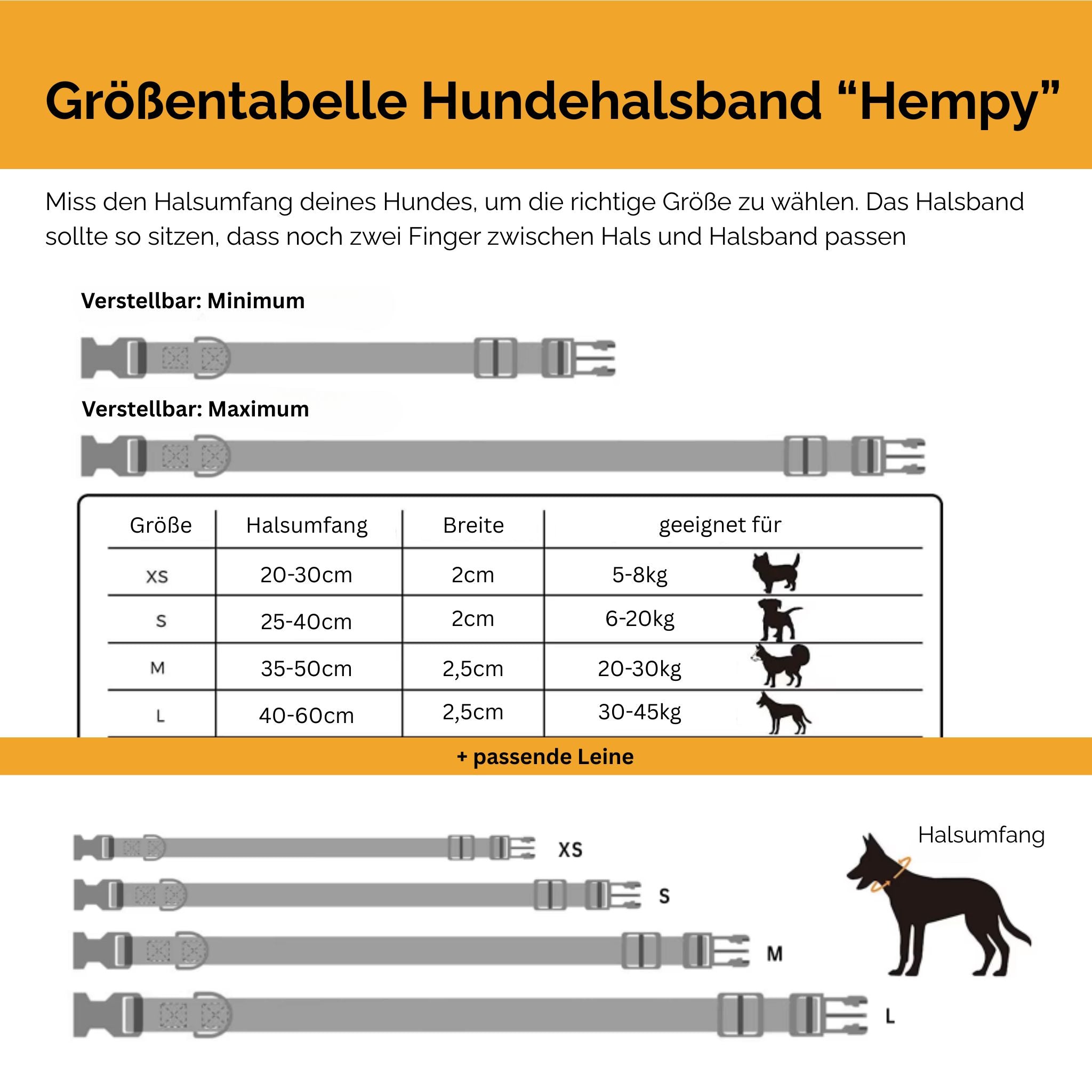 Hundehalsband-Set 
