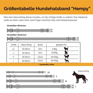 Hundehalsband-Set 