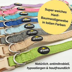 Hundehalsband-Set 