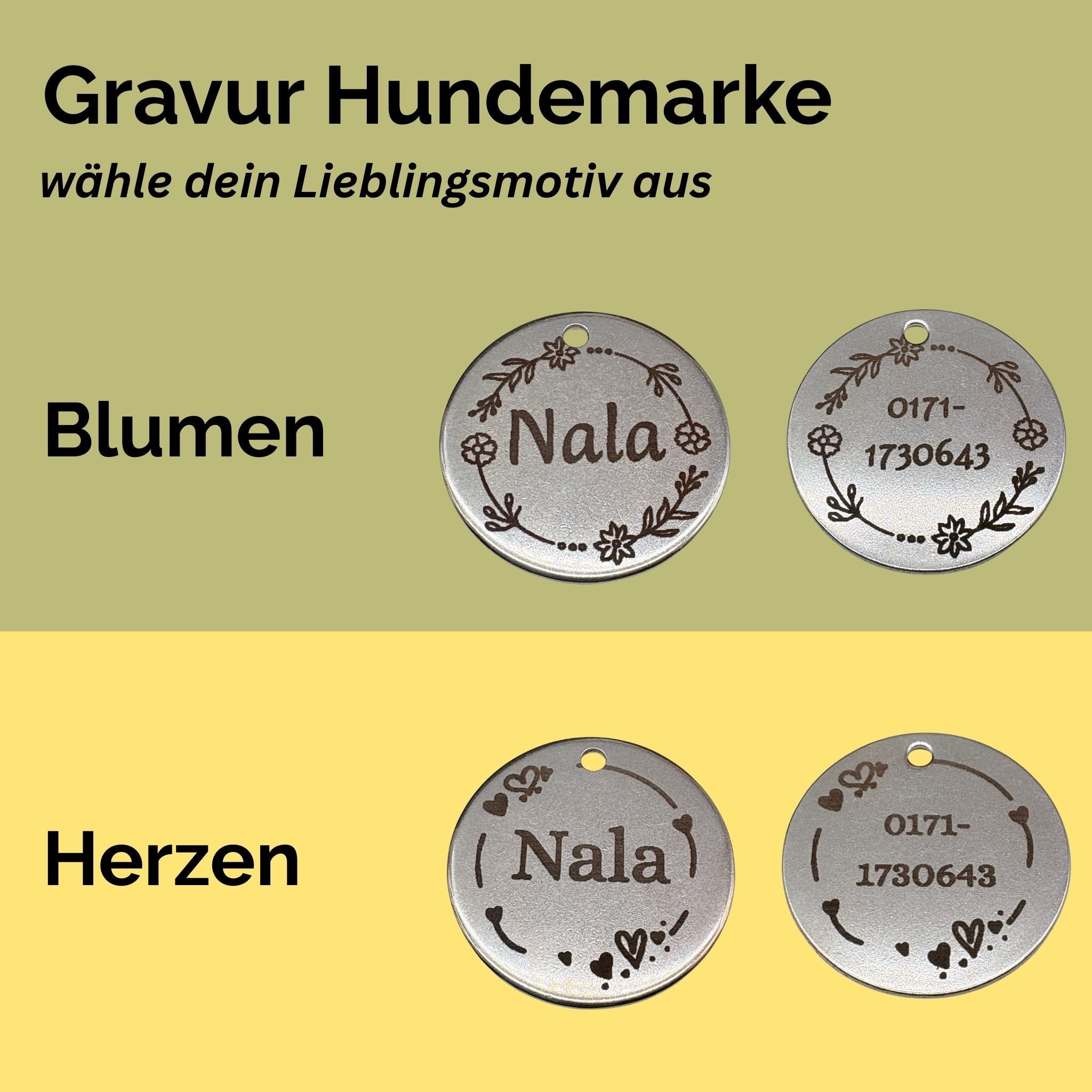 Hundehalsband-Set 