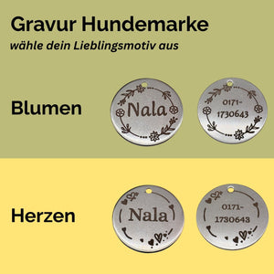 Hundehalsband-Set 