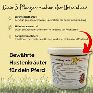EquiLung Herbal Hustenkräuter für Pferde – bei trockenem oder allergischem Husten