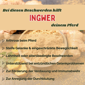 Ingwer Pferd Pulver 1kg