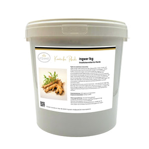 Ingwer Pferd Pulver 1kg