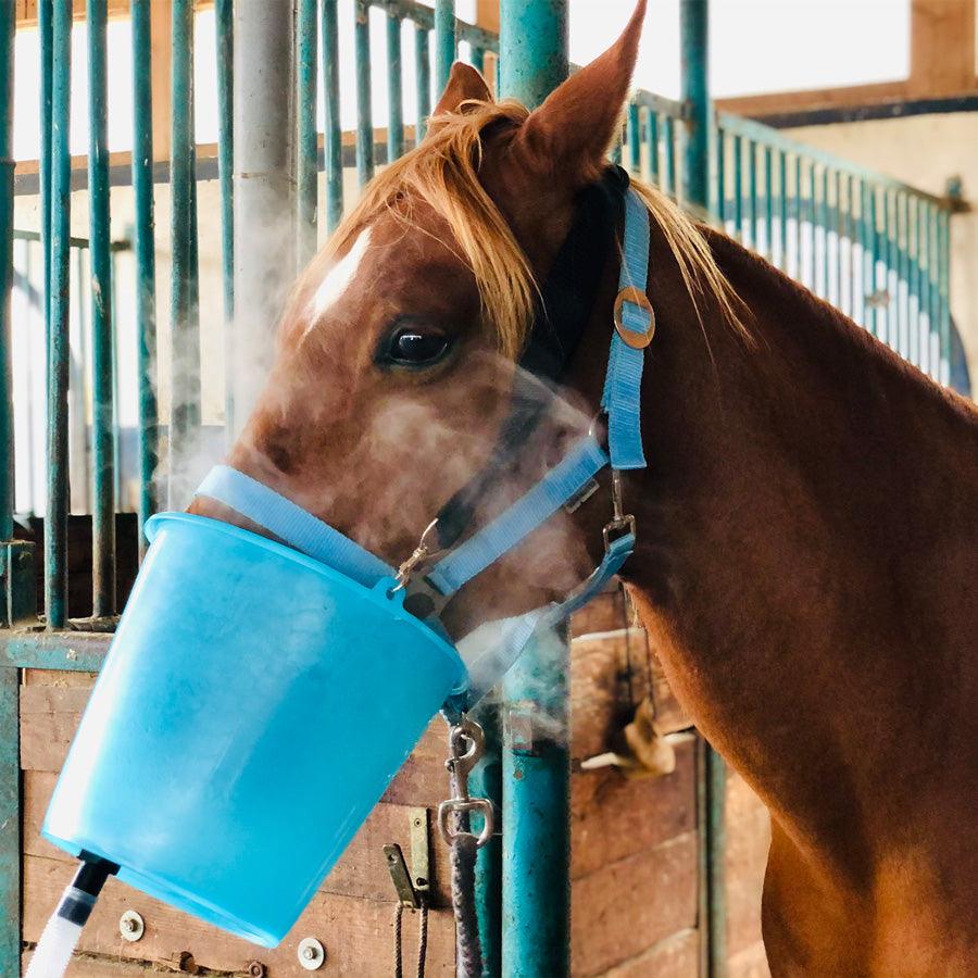Equosonic Klinik Starter Paket mit zusätzlicher Powerbank für den Betrieb ohne Stromanschluss