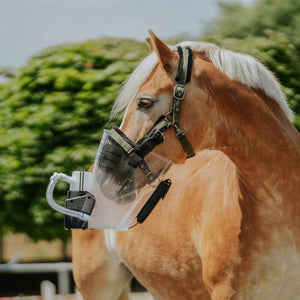 Inhalator für Pferde equosonic free Starterpaket