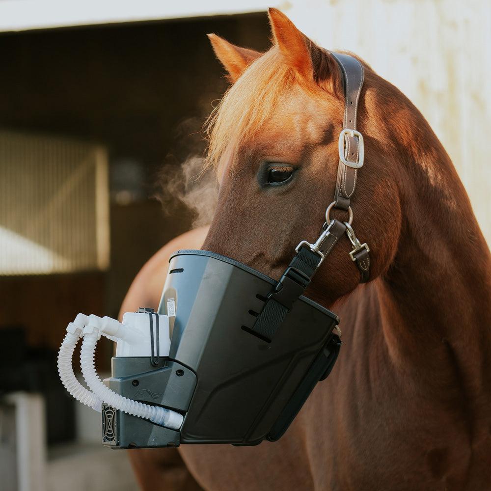 Inhalator für Pferde equosonic free Starterpaket