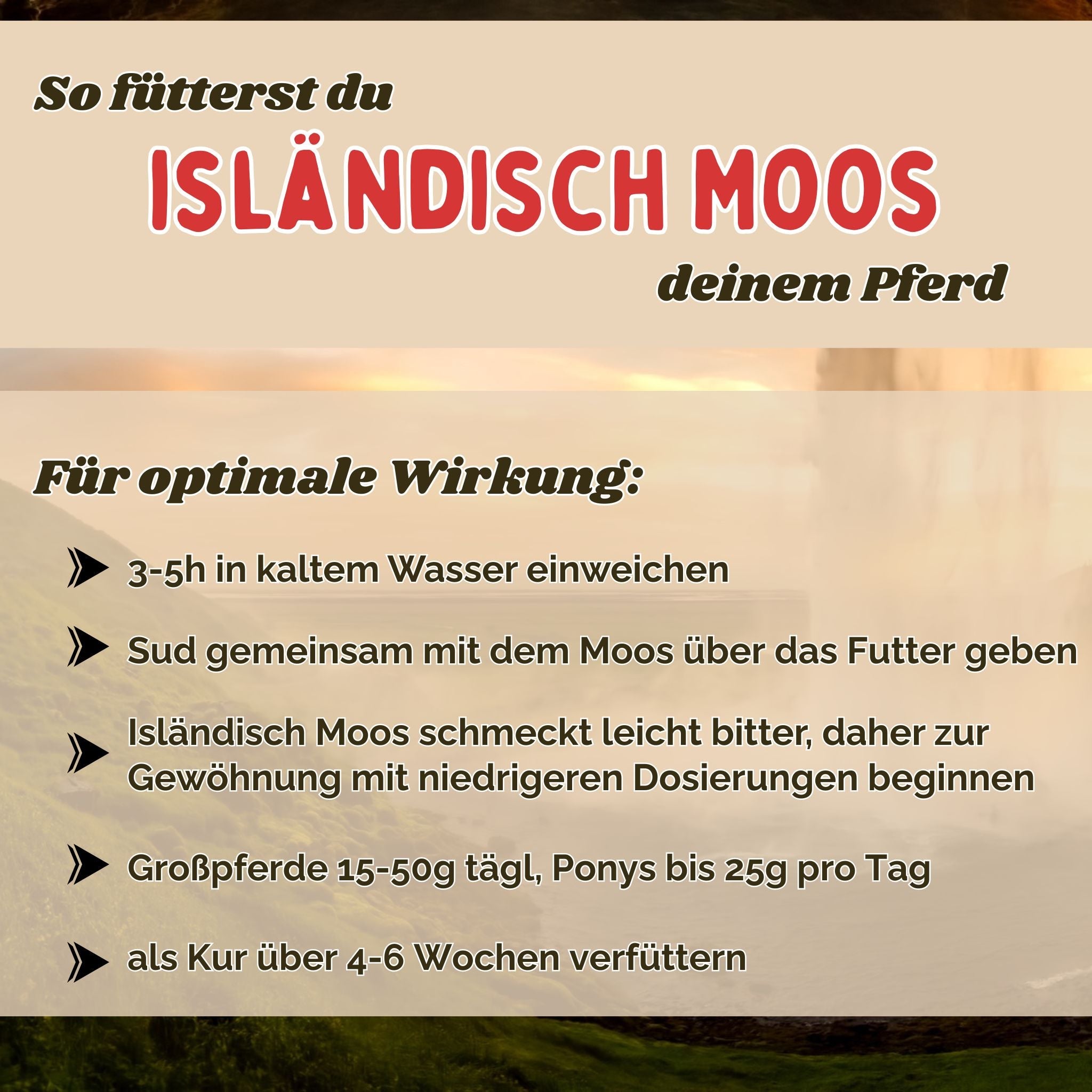 Isländisch Moos Pferd - Hustenkräuter für Pferde - Magenkräuter Pferd