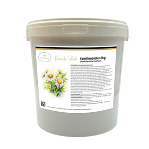 Kamille Pferd ganze Blüte