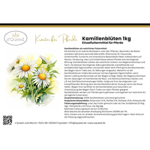 Kamille Pferd ganze Blüte