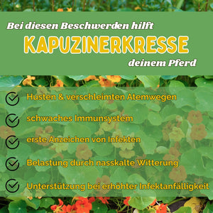 Kapuzinerkresse für Pferde - Hustenkräuter für Pferde - Immunkräuter Pferd