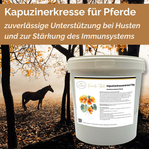 Kapuzinerkresse für Pferde - Hustenkräuter für Pferde - Immunkräuter Pferd