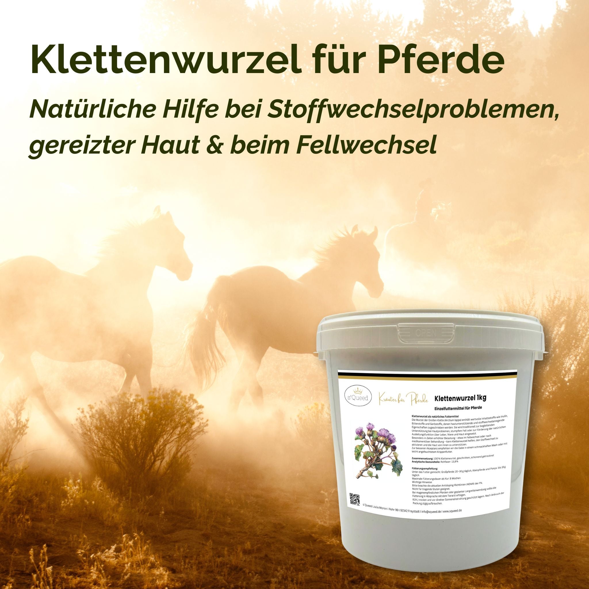 Klettenwurzel Pferd für Stoffwechsel, Haut & Fellwechsel